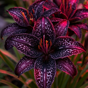 Лилейник Вояж купить по цене от 699р. в интернет-магазине «Посадика» с доставкой почтой в в Ельняе и по всей России – [изображение №1].